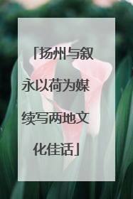 扬州与叙永以荷为媒续写两地文化佳话
